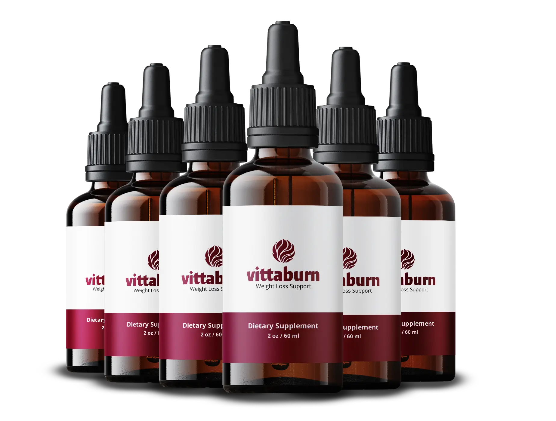 VittaBurn 6 bottle package — best value with free shipping